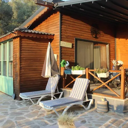 Villa Hayat Agaci Uzumlu (Aegean)