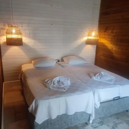 Hayat Agaci Villa Uzumlu (Aegean)