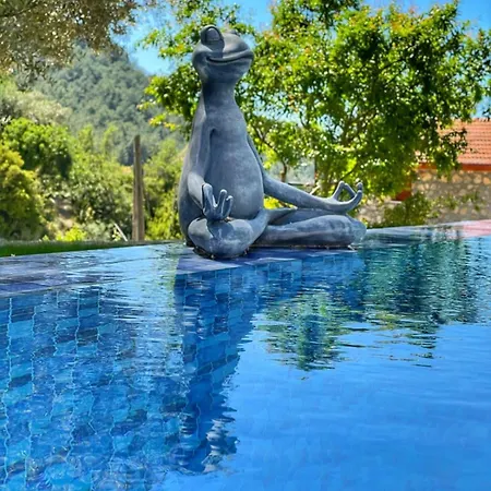 Villa Hayat Agaci Uzumlu (Aegean)
